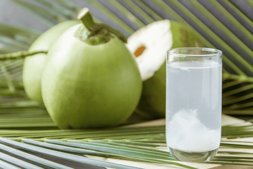 Nước dừa rất tinh khiết và tốt cho sức khỏe